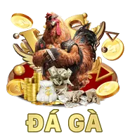 Khuyến Mãi Đá Gà Hấp Dẫn