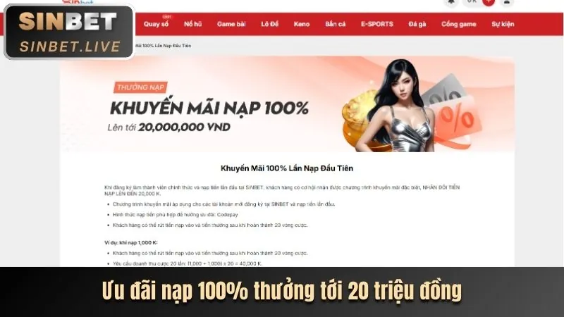 Hoàn trả hàng tuần cao cho cá cược thể thao